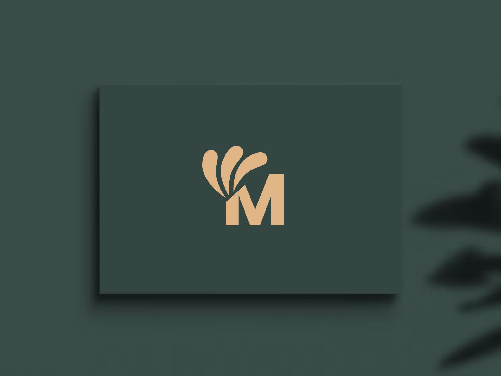 Branding Logo Design by Meher Nigar on Dribbble