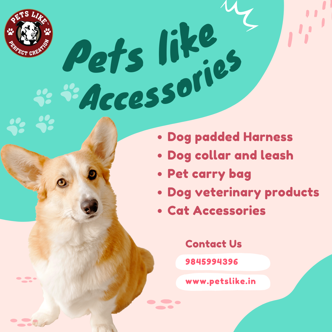 PET ACCESSORIES SHOP IN BANGALORE by pets like on Dribbble