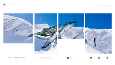 ice whale combination design drawing fragility glacier hand hand drawing illustration intertwined mix mountain pencils photography photoshop portfolio sketch whale wildlife