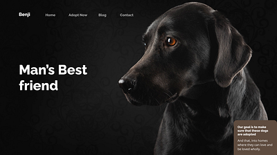 Landing page for a dog adoption website design figma landing page ui uiux
