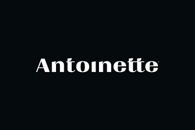Antoinette brand strategy branding design france graphic design handmade jewelry jewels logo logomarch paris positioning