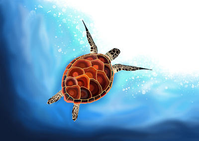 Turtle In the Waves adobe digital design illustration painting