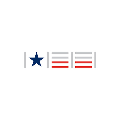 TSSA Logo animation branding design identity logo self storage storage texas texas flag