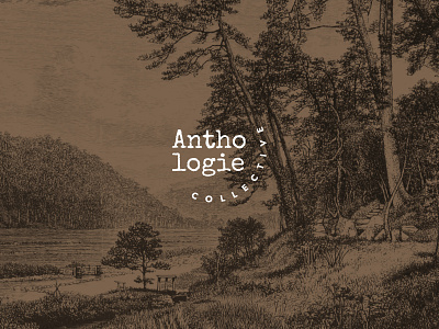 Logo Design | Anthologie Collective branding design logo