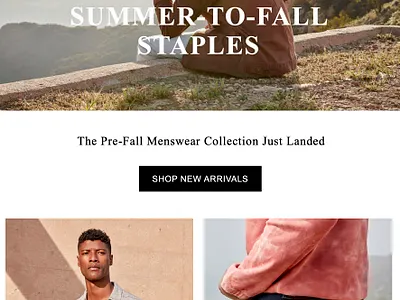 Paige Denim email design fashion sketch web banner web design
