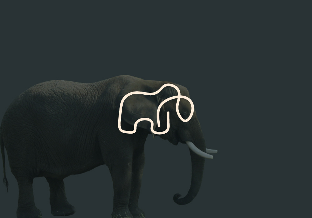 Example of You Will Get Custom Modern Logo Design