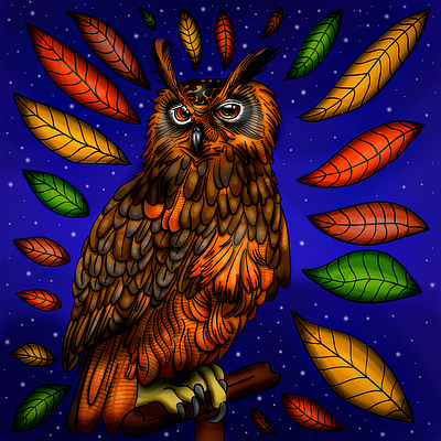 01 illustration owl vector