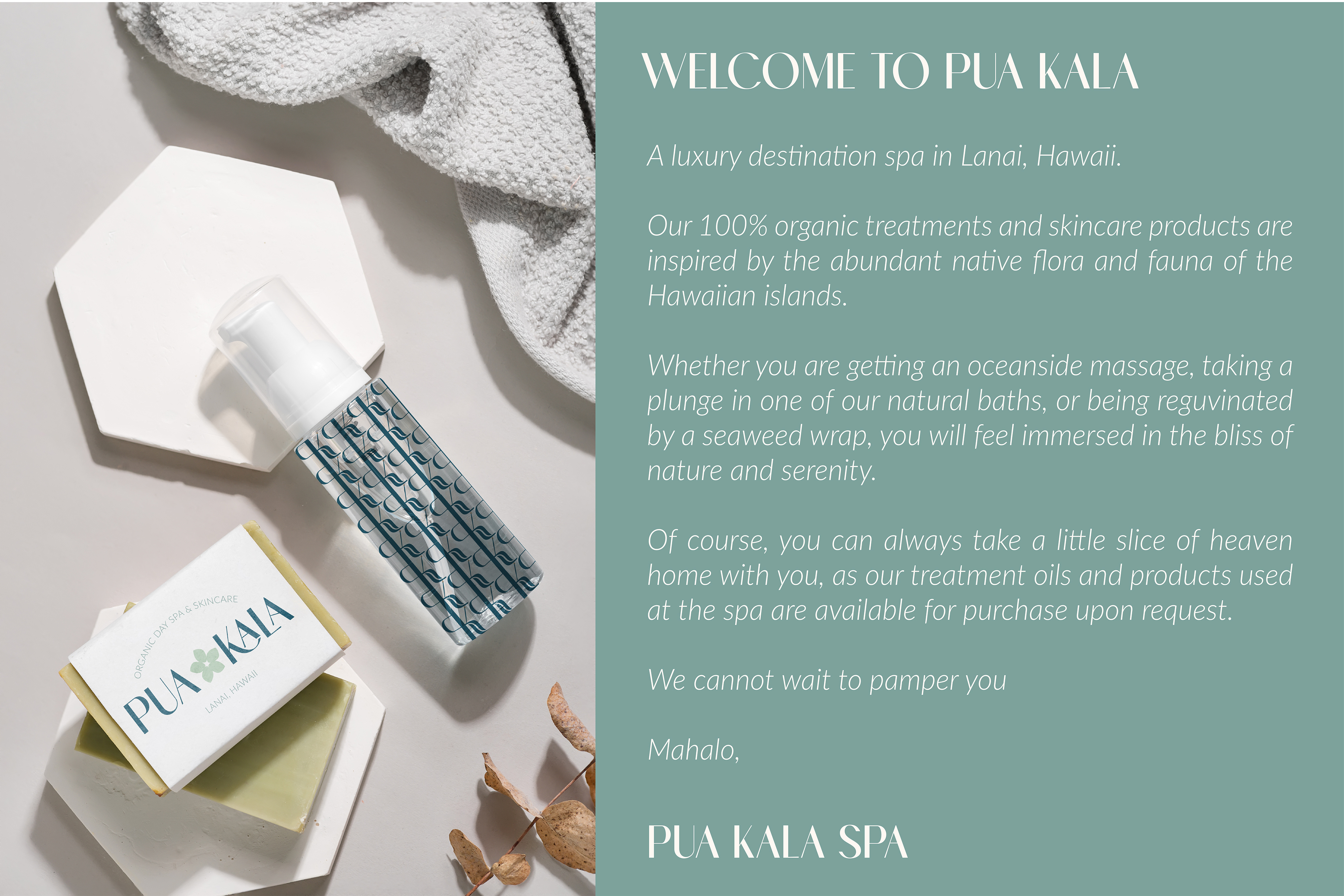 PUA KALA | Hawaiian Spa Branding brand design branding business card collateral design graphic design illustration logo ui