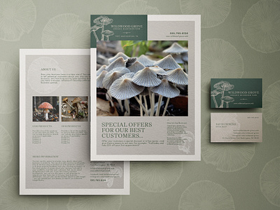 Mushroom Brand Identity Set branding business card flyer fungi fungus graphic design marketing mushroom organic