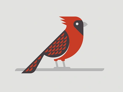 Cardinal animal bird birds cardinal cardinals feather illinois illustration illustrator indiana kentucky north carolina ohio red tail usa vector virginia west virginia wing