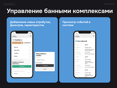 ChistoPar Catalog app bath bathhouse booking catalog design design system interface system ui uiux web