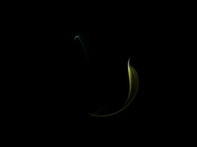 Motion Ai Visual animation app design designer india interaction lalit motion motion design ui