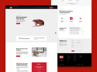 Pest Control Service - Rodent Pest Control Service Page Design branding colorpalette creativeprocess designinspiration designthinking digitaldesign flatdesign graphicdesign layoutdesign pest control productdesign trendydesign typography ui uiux uiuxdesign userexperience userinterface ux webdesign