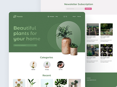 Website to Find and Swap Plants concept design figma find plants gardening green swap plants ui ui design ux ux design web web design website