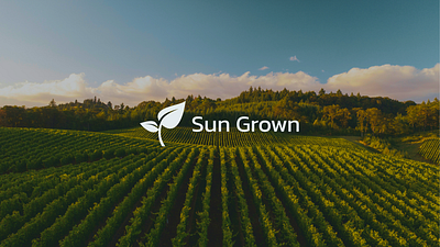 Sun Grown - Brand Identity and Logo Design branding graphic design logo
