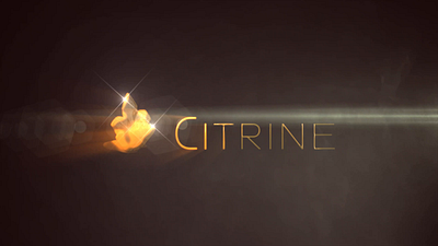 Logo reveal animation for Citrine animation branding design graphic design logo logo reveal