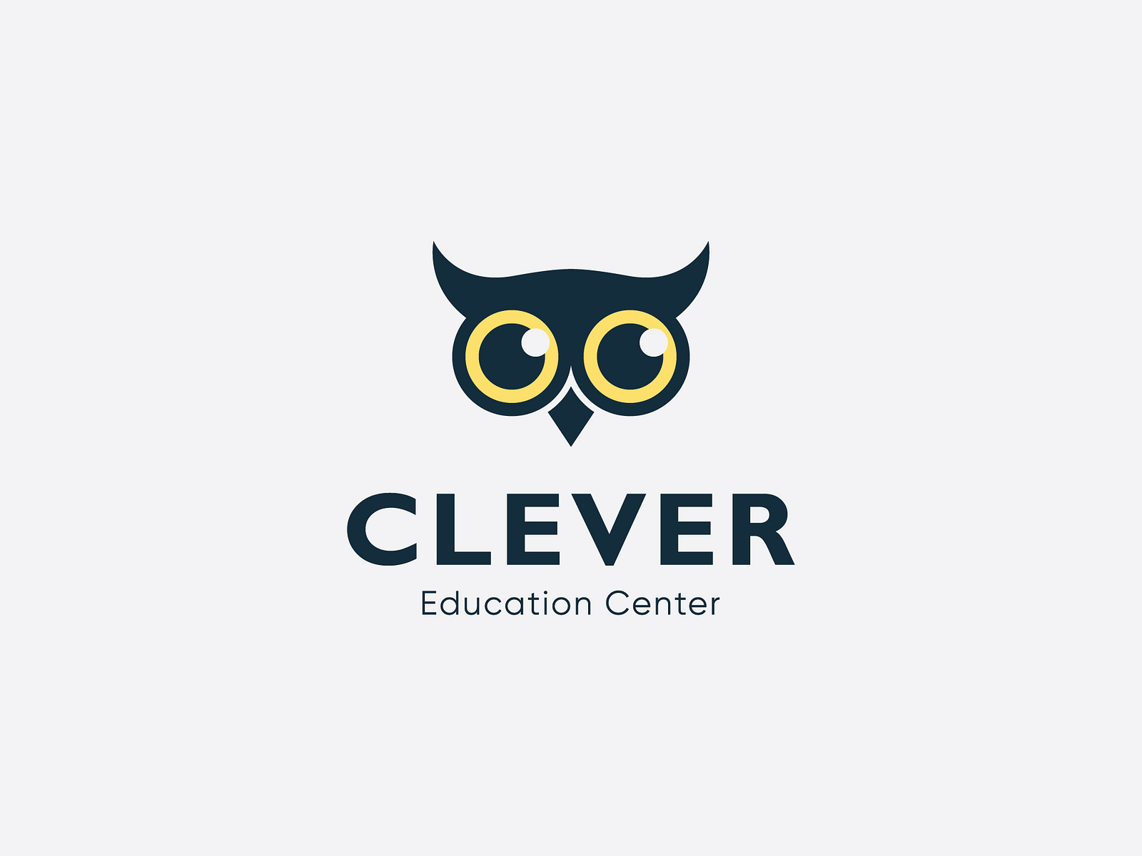Logo Design with an Owl by Dina Belashova on Dribbble