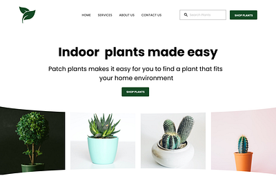 Plants Website Hero section app branding design graphic design illustration typography ui ux vector