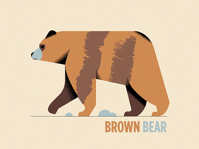 Brown Bear (Personal st. exploration '23) animals character design editorial grain graphic design illustration