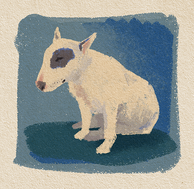 An untroubled soul bull terrier illustration