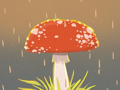 Rainy day animation flora forest graphic design illustration illustrator motion graphics mushroom nature pdx portland rain sunrise toadstool