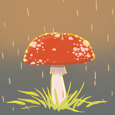 Rainy day animation flora forest graphic design illustration illustrator motion graphics mushroom nature pdx portland rain sunrise toadstool