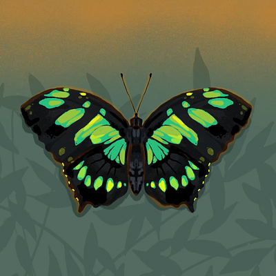 Fly away animation butterfly digital art drawing graphic design green illustration insect motion graphics nature procreate app scenery