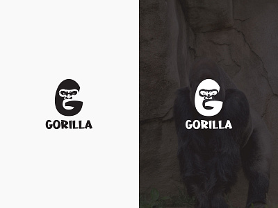 Gorilla Logo Design adobe illustrator animal logo branding business logo company logo creative logo design design gorilla logo graphic design illustration logo logodesign minimal logo minimalist logo