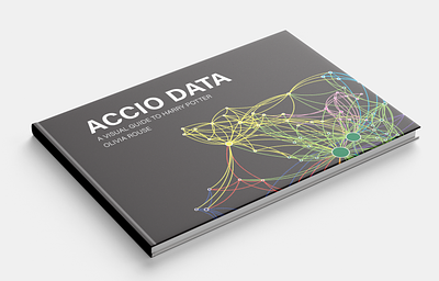 Accio Data design graphic design harry potter information design