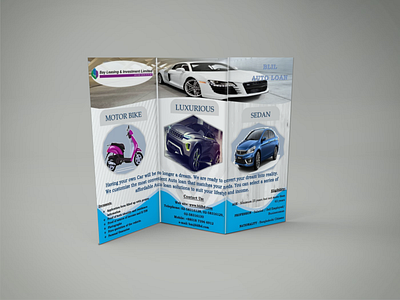 Tri-Fold Flyer/Brochure Design of BLIL products branding brochure brochure design design flyer graphic design ms word trifold