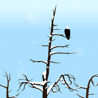 American Bald Eagle abstractart animated animation art baldeagle design dribbble nature eagle graphic design illustration illustrator motion graphics nature vector