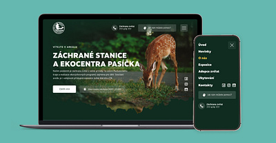 Pasicka website for ecocentrum branding design eco graphic design ui ux webdesign website