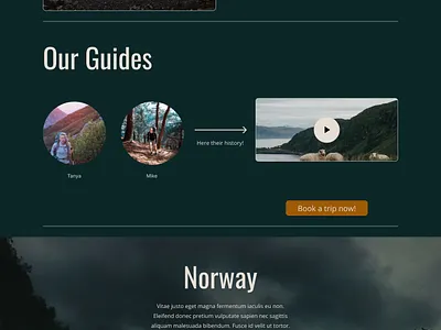 Travel-blog, web-site, booking, book a trip, travel page, blog app branding design graphic design illustration ui ux