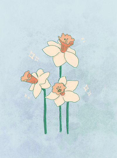 Daffodils book illustration botanical cover daffodil flora greeting card illustration kids spring