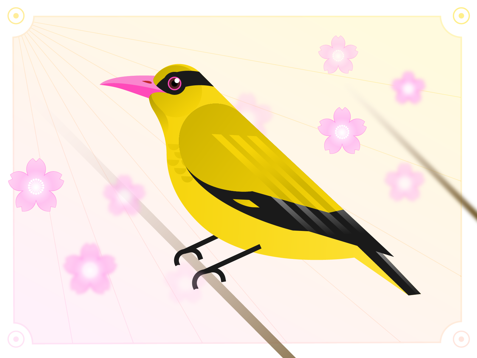 Birds & Flowers 3/24 Black-naped Oriole bird black naped oriole flower graphic design illustration spring