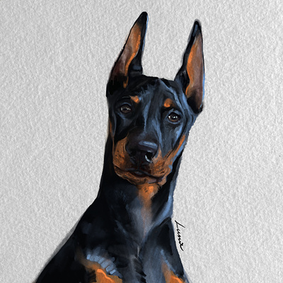Luna - the Doberman doberman dog illustartion illustration oil paper procreate texture watercolor