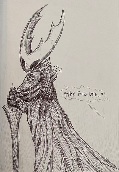 the hollow knight.