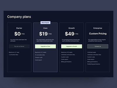 Company Plans || Pricing Section company plans design pricing section product design ui ui deisgn ux web design