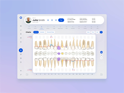 Tooth Problem Overview 3d animation buttons dashboard data database design dribbble inspiration illustration infographic interface management medicalui radiology saas teeth ui ui trends user interface ux