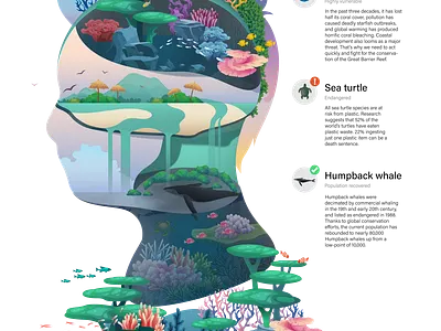 Conservation head - great barrier reef illustration infographic isometric