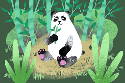 Panda illustration for children book graphic design illustration typ typography
