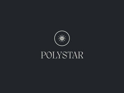 Polystar logotype brand branding graphic design icon illustration logo typography vector