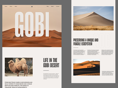 Gobi Desert Editorial Design desert editorial environment gobi minimal nature preservation spacious ui ux web design website whitespace