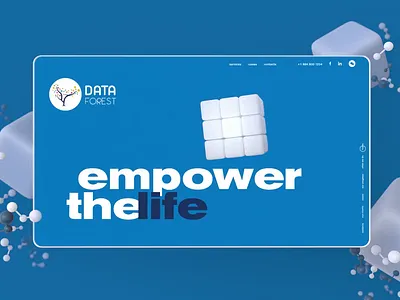 IT company website cases compamy company website interface animation it it company pages services ui ux website