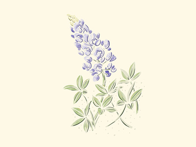 Bluebonnet Season austin austin texas austin texas illustrator bluebonnet green handdrawn hillcountry illustration procreate purple wildflower art wildflowers