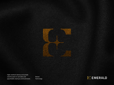 Emerald branding design graphic design logo typography vector
