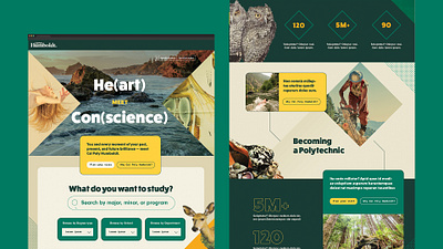 University Homepage Concept graphic design ui