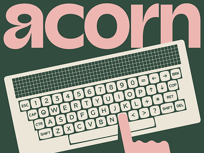 Acorn design display font font sans serif