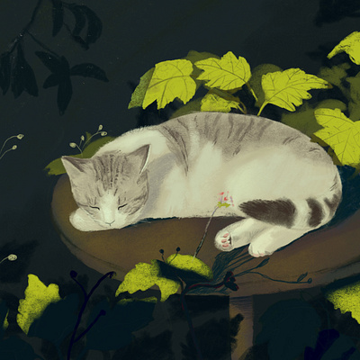 Illustration of a sleeping cat cat illustration procreate