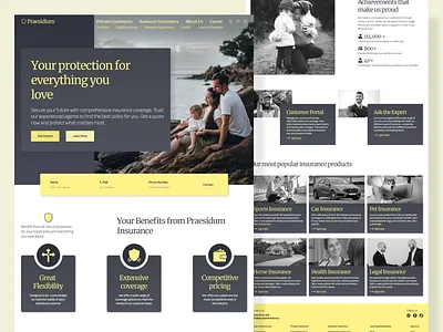 Website Insurance/Versicherung css design deutschland frontend full stack germany gesundheit healthcare homepage html html css insurance sweden ui ux versicherung web design web development webseite website